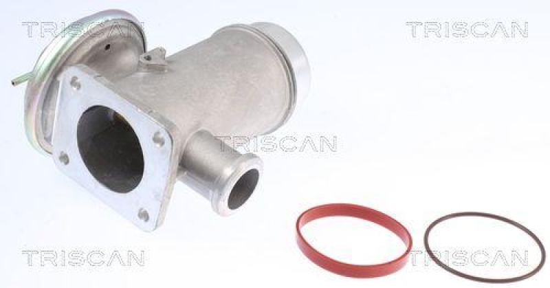 TRISCAN 8813 11102 Agr Ventil f&uuml;r Bmw