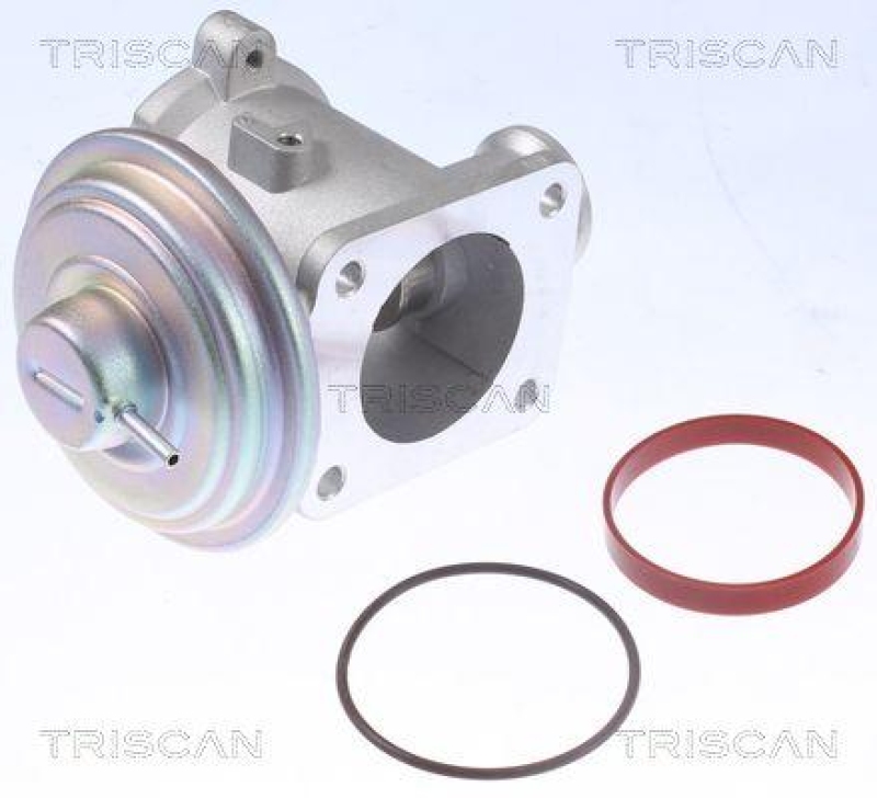 TRISCAN 8813 11105 Agr Ventil f&uuml;r Bmw