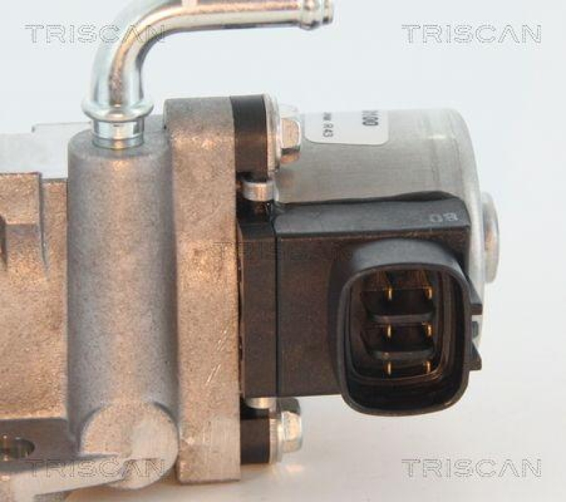 TRISCAN 8813 13002 Agr Ventil f&uuml;r Toyota