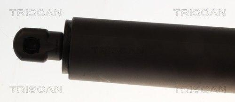 TRISCAN 8710 43233 Gasfeder Hinten Fenster für Hyundai Santa Fe (Sm) Wind