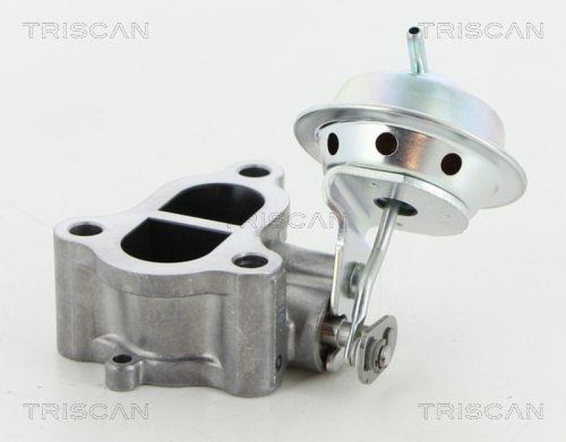 TRISCAN 8813 13065 Agr Ventil f&uuml;r Toyota