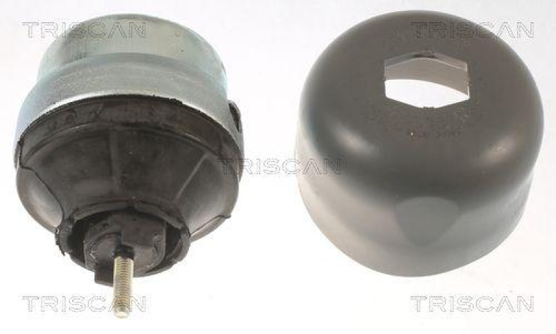 TRISCAN 8505 29177 Motoraufh&auml;ngung f&uuml;r Audi, Seat, Skoda, Vw