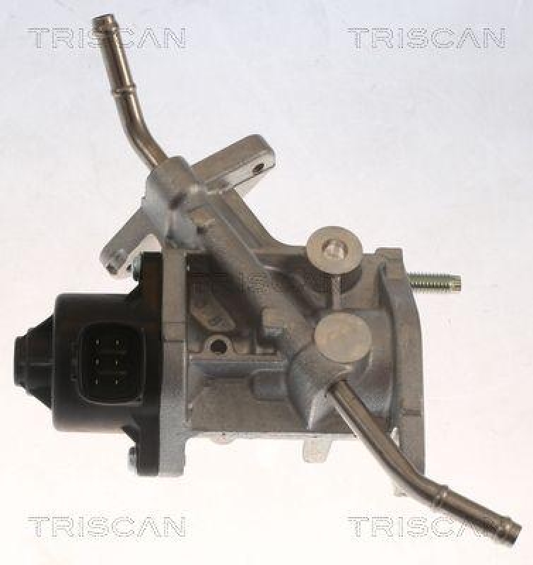 TRISCAN 8813 13068 Agr Ventil f&uuml;r Toyota