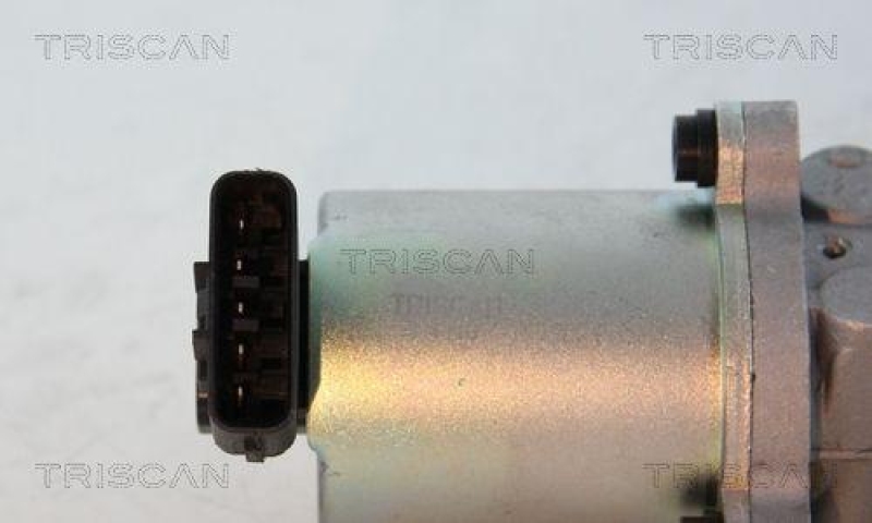 TRISCAN 8813 13102 Agr Ventil f&uuml;r Toyota