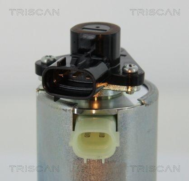 TRISCAN 8813 13202 Agr Ventil f&uuml;r Toyota