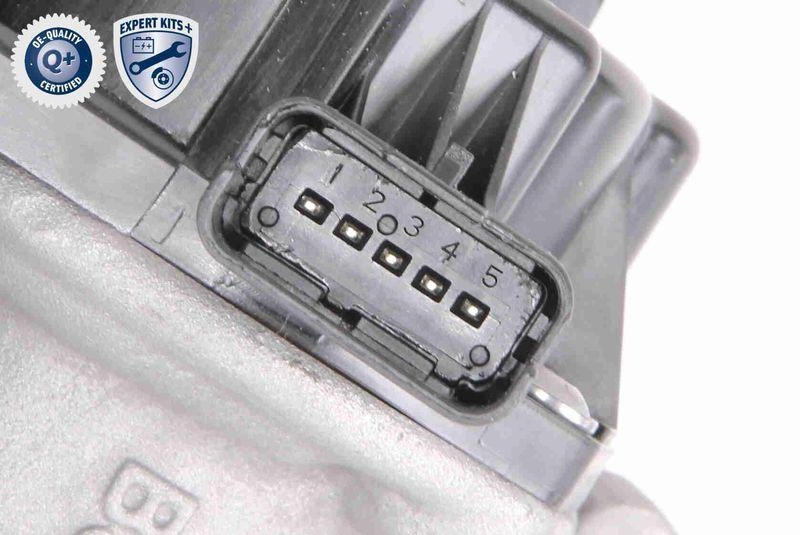 VEMO V22-63-0004 AGR-Ventil mit Dichtung, mit K&uuml;hler f&uuml;r CITRO&Euml;N