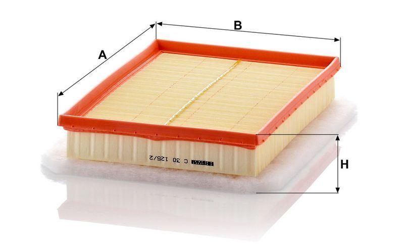 MANN-FILTER C30125/2 Luftfilter