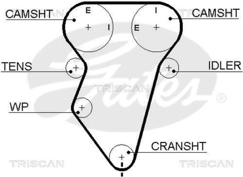 TRISCAN 8645 5419xs Zahnriemen f&uuml;r Daewoo
