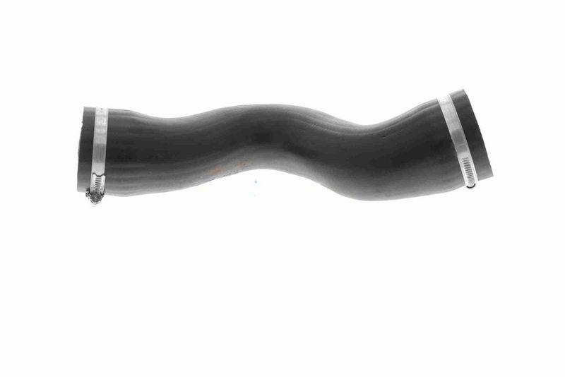 VAICO V10-3807 Ladeluftschlauch für VW