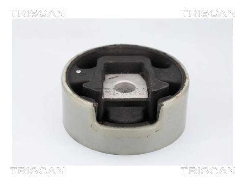TRISCAN 8505 29188 Motoraufh&auml;ngung f&uuml;r Audi, Seat, Skoda, Vw