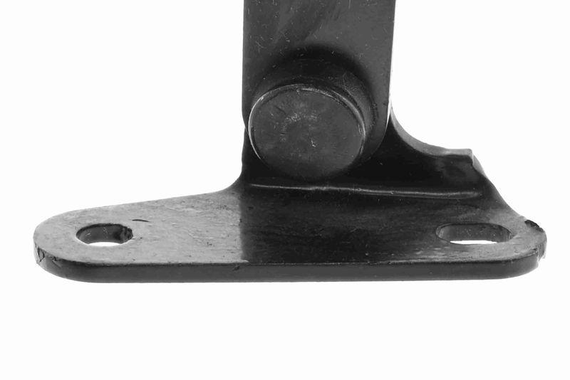 ACKOJA A70-0183 Gasfeder, Koffer-/Laderaum für TOYOTA