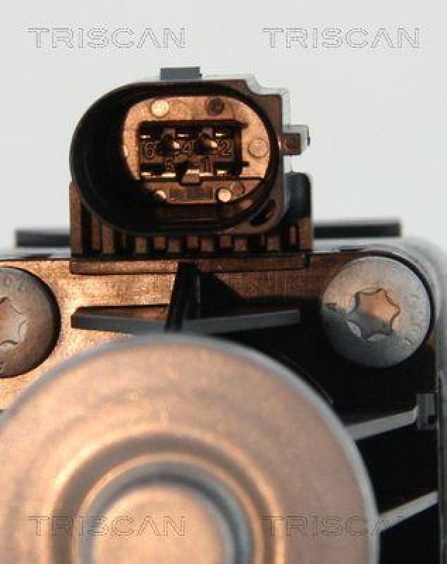 TRISCAN 8813 16036 Agr Ventil f&uuml;r Ford/Volvo/Mazda