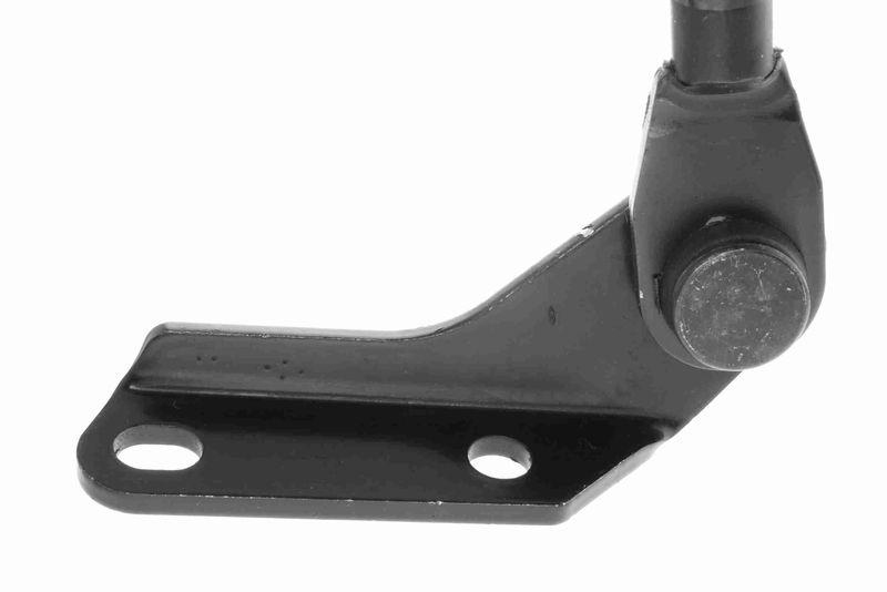 ACKOJA A70-0184 Gasfeder, Koffer-/Laderaum für TOYOTA