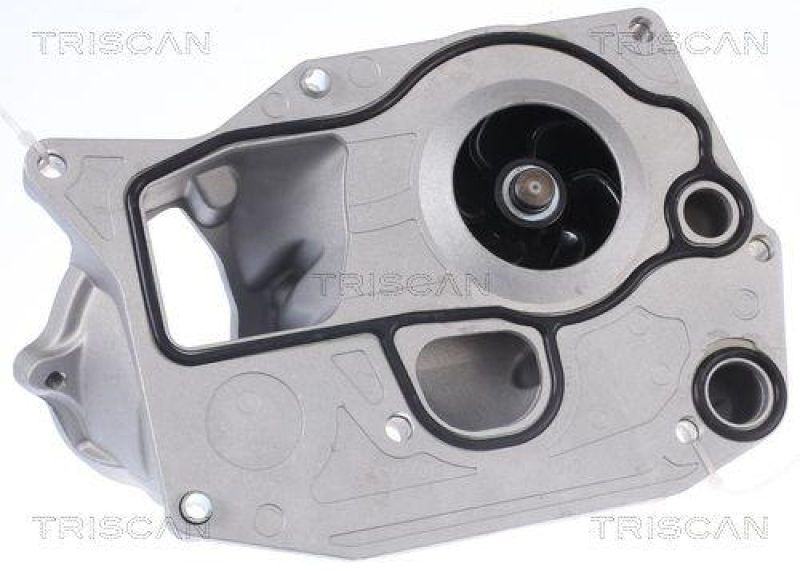 TRISCAN 8600 11051 Wasserpumpe f&uuml;r Bmw