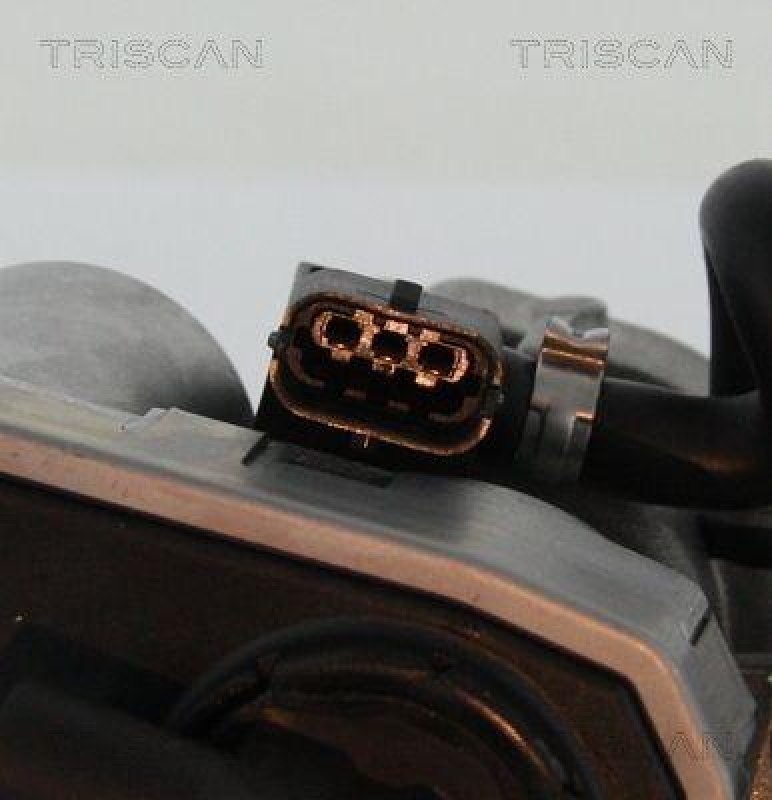 TRISCAN 8813 16202 Agr Ventil f&uuml;r Ford