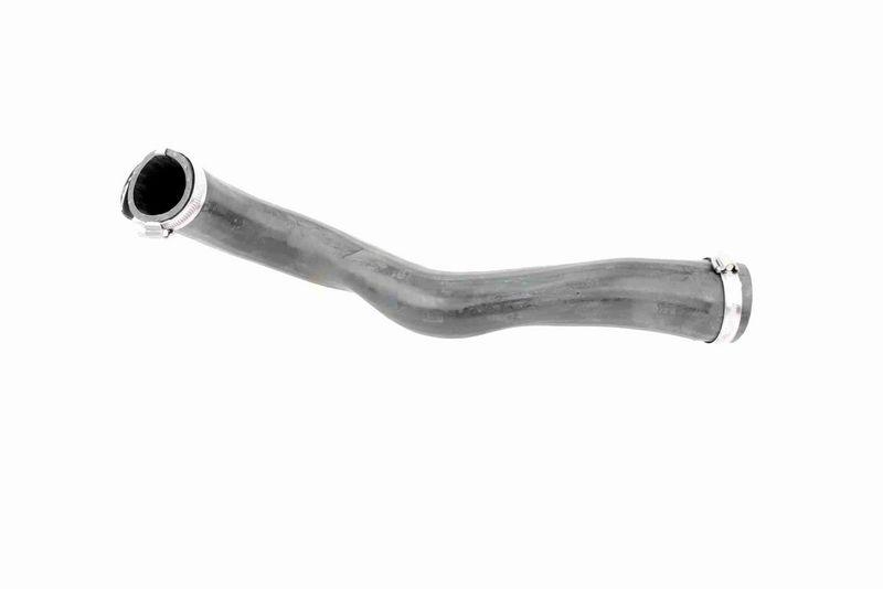 VAICO V10-3817 Ladeluftschlauch für VW