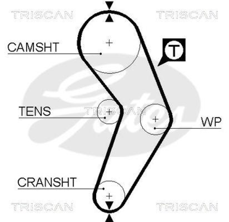 TRISCAN 8645 5473xs Zahnriemen f&uuml;r Renault