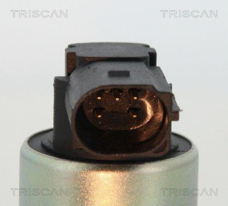 TRISCAN 8813 24003 Agr Ventil f&uuml;r Opel/Fiat/Gm
