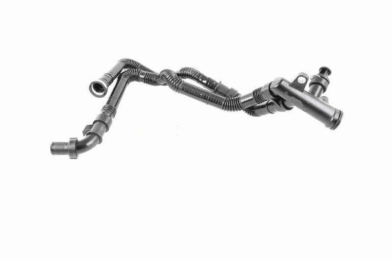 VAICO V22-0398 K&uuml;hlerschlauch f&uuml;r CITRO&Euml;N