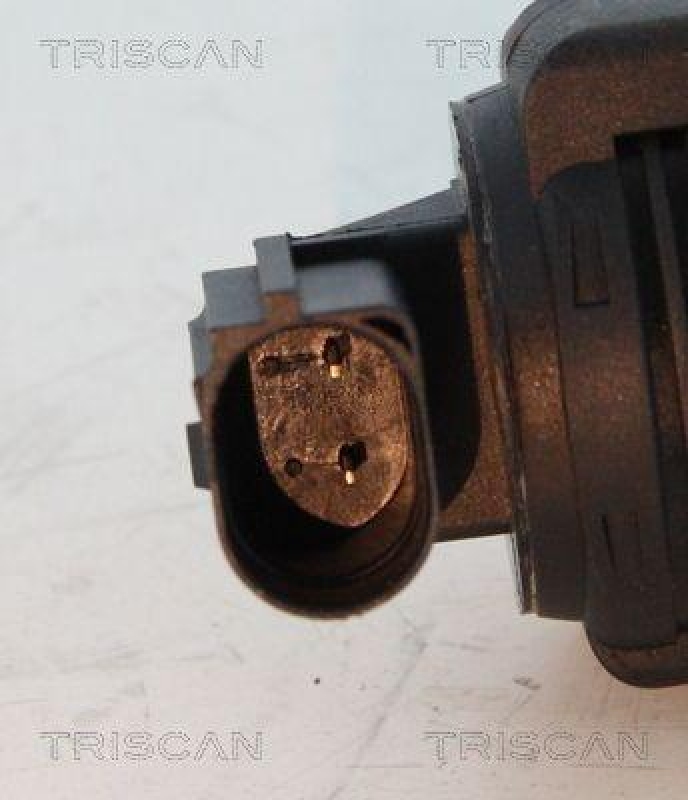 TRISCAN 8813 24012 Agr Ventil f&uuml;r Opel/Fiat/Gm