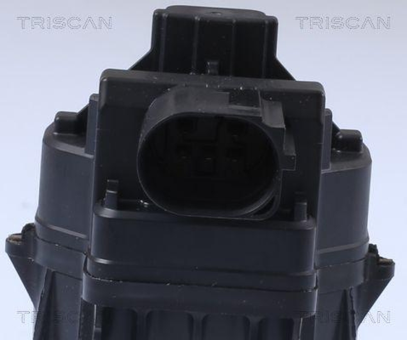 TRISCAN 8813 24084 Agr Ventil f&uuml;r Opel, Chevrolet