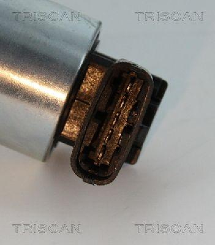 TRISCAN 8813 24102 Agr Ventil f&uuml;r Opel