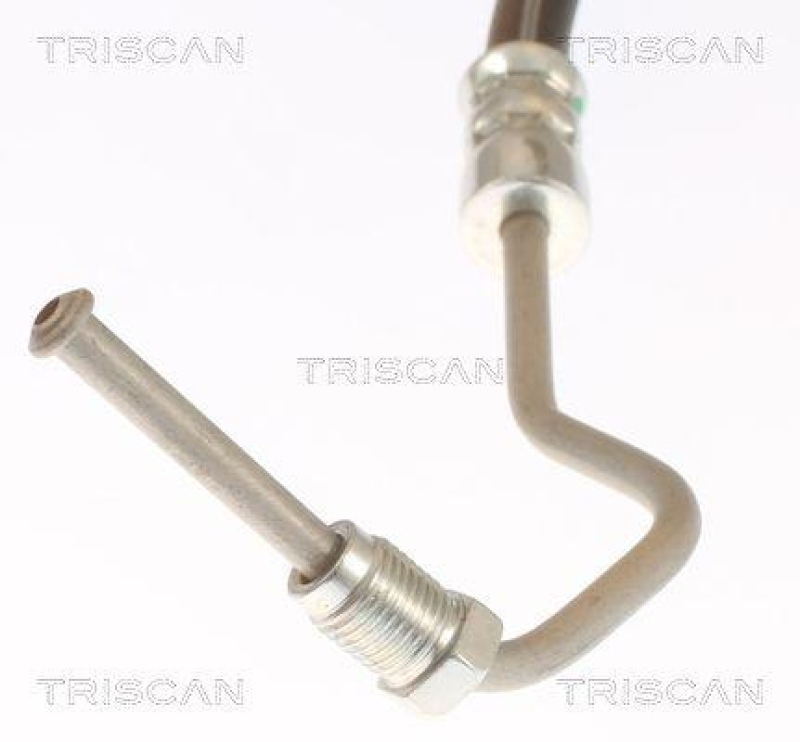 TRISCAN 8150 25286 Bremsschlauch Hinten f&uuml;r Renault