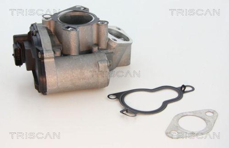 TRISCAN 8813 25203 Agr Ventil f&uuml;r Fiat