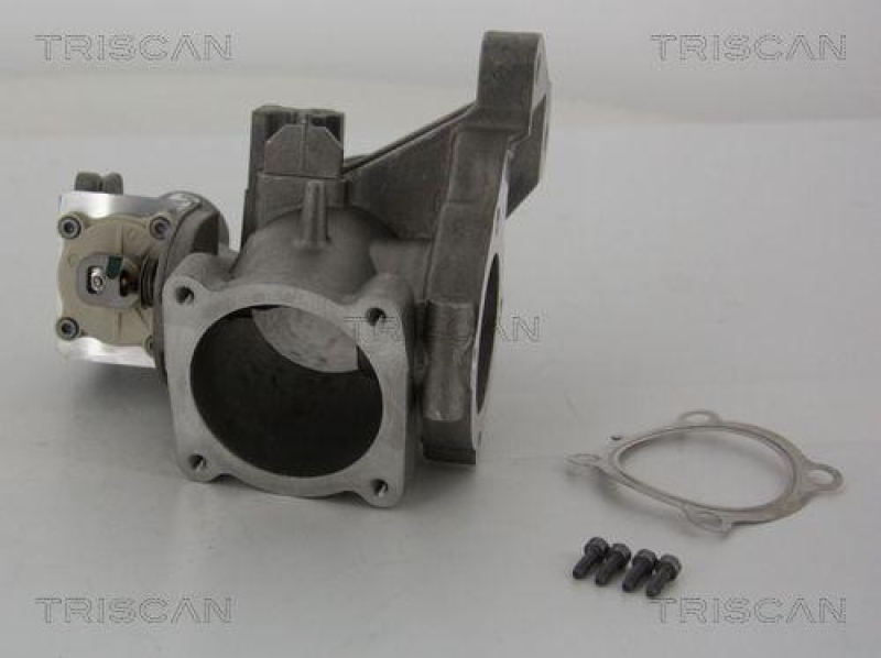 TRISCAN 8813 27001 Agr Ventil f&uuml;r Volvo/Ford