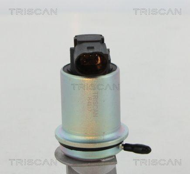 TRISCAN 8813 29066 Agr Ventil f&uuml;r Seat