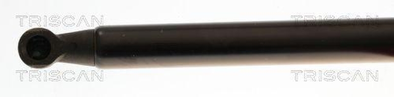 TRISCAN 8710 69216 Gasfeder Hinten für Suzuki Alto Iv