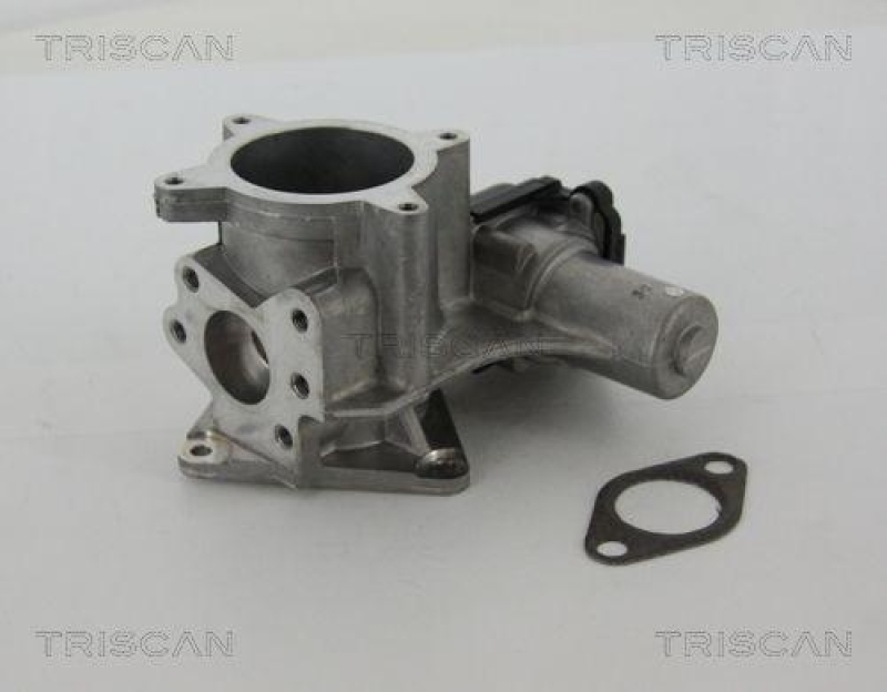 TRISCAN 8813 29105 Agr Ventil f&uuml;r Vw