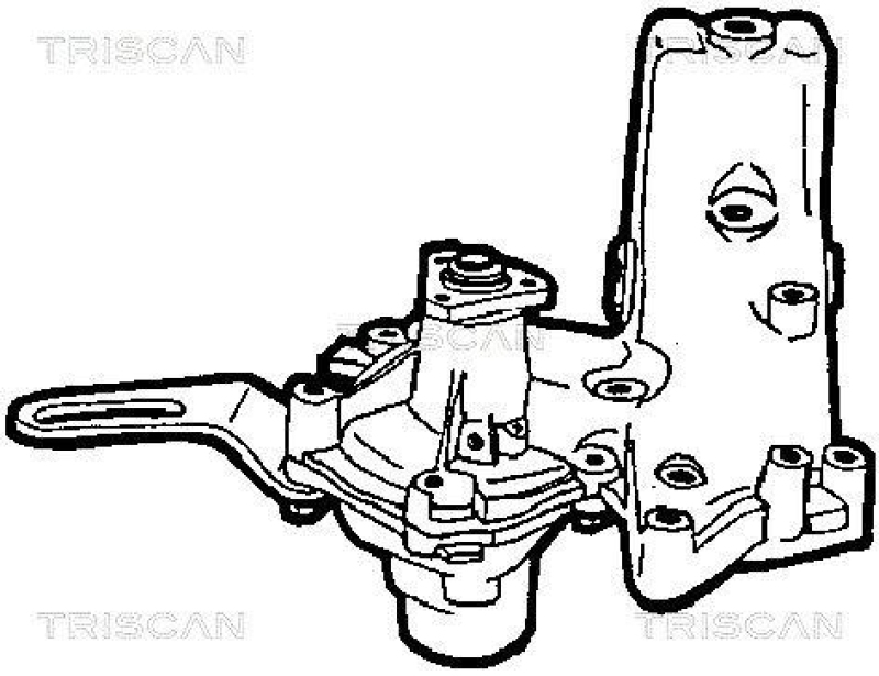 TRISCAN 8600 15970 Wasserpumpe f&uuml;r Fiat Ducato 1.9 Diesel