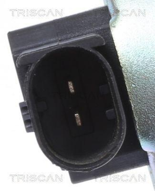 TRISCAN 8813 43009 Agr Ventil f&uuml;r Hyundai/Kia