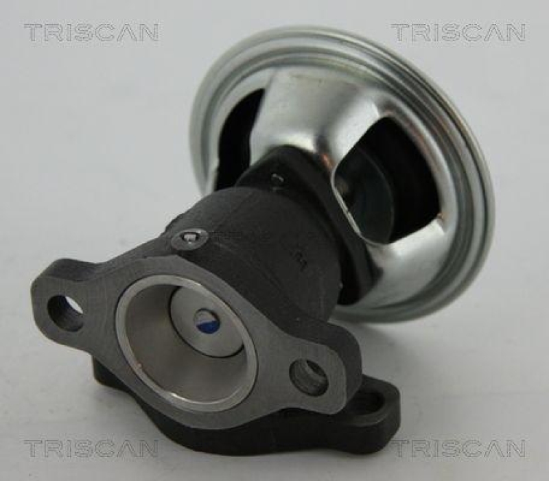 TRISCAN 8813 43022 Agr Ventil f&uuml;r Ssangyong
