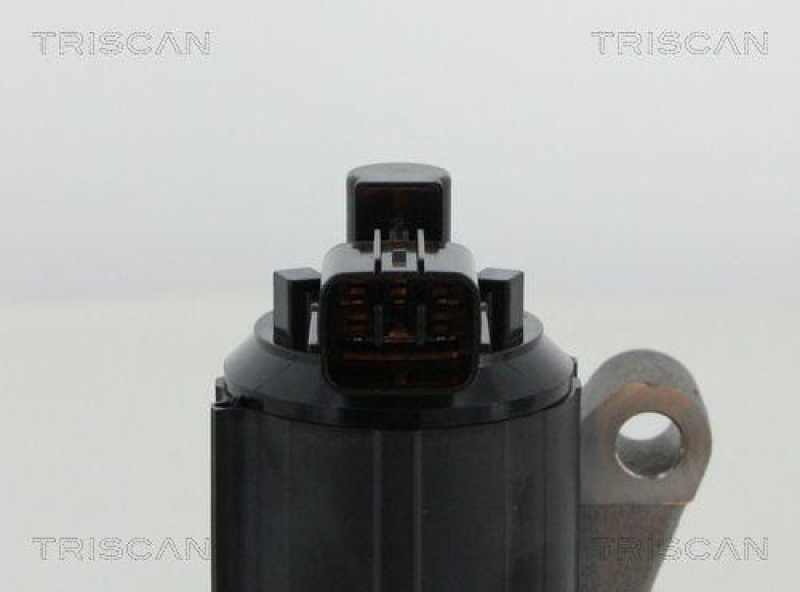 TRISCAN 8813 50015 Agr Ventil f&uuml;r Mazda