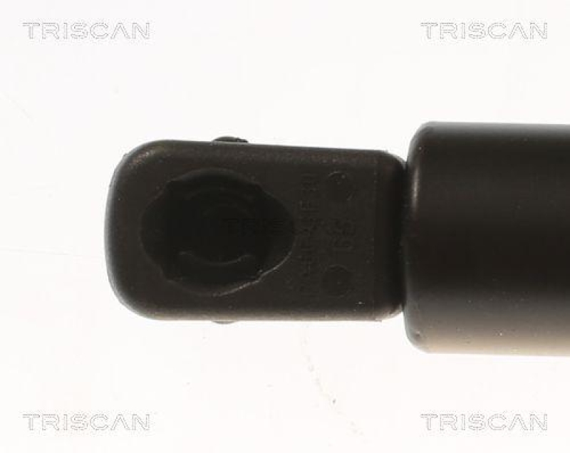 TRISCAN 8710 80204 Gasfeder Hinten für Chrysler 300C Touring