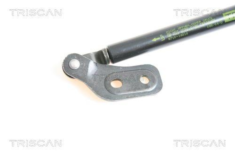 TRISCAN 8710 18210 Gasfeder Hinten f&uuml;r Kia Sephia, Shuma