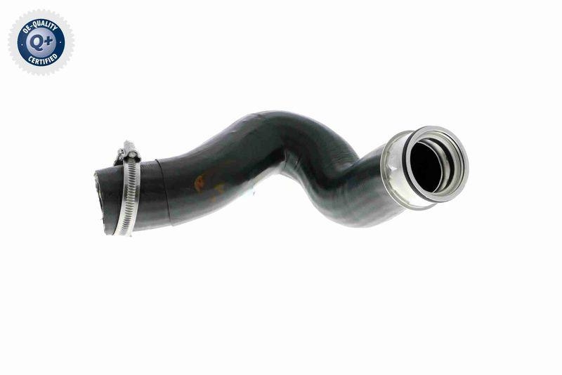 VAICO V10-2837 Ladeluftschlauch f&uuml;r VW