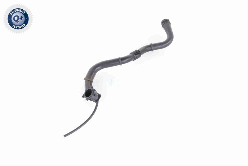 VAICO V46-0742 Ladeluftschlauch f&uuml;r RENAULT