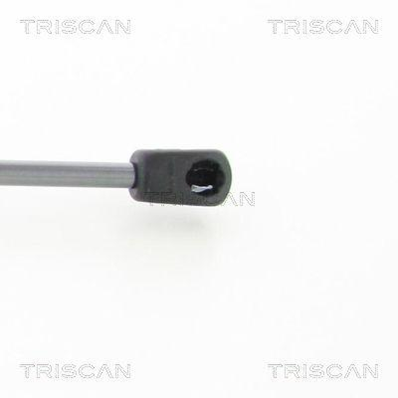 TRISCAN 8710 18241 Gasfeder Hinten f&uuml;r Kia Cee'D