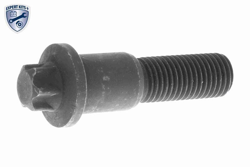 VAICO V20-10017-BEK2 Steuerkettensatz Kette Geschlossen für BMW