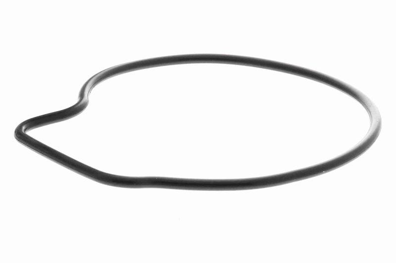 ACKOJA A26-50001 Wasserpumpe, Motorkühlung mit Dichtungssatz für HONDA