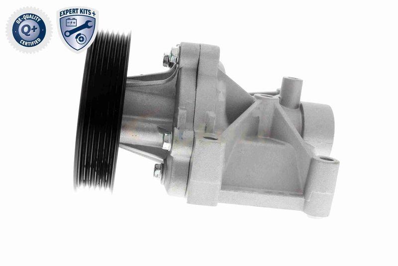 ACKOJA A53-0704 Wasserpumpe, Motorkühlung mit Dichtung für KIA