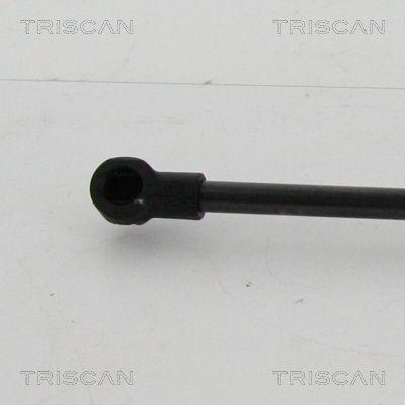 TRISCAN 8710 21210 Gasfeder Hinten f&uuml;r Chevrolet Spark