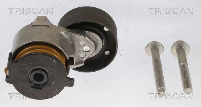 TRISCAN 8641 253005 Riemenspanneinheit für Renault