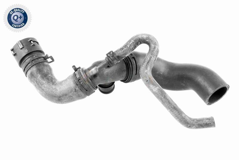 VAICO V10-3915 K&uuml;hlerschlauch f&uuml;r VW