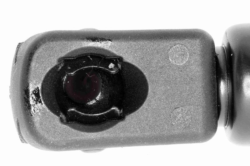VAICO V20-1008 Gasfeder, Koffer-/Laderaum f&uuml;r BMW