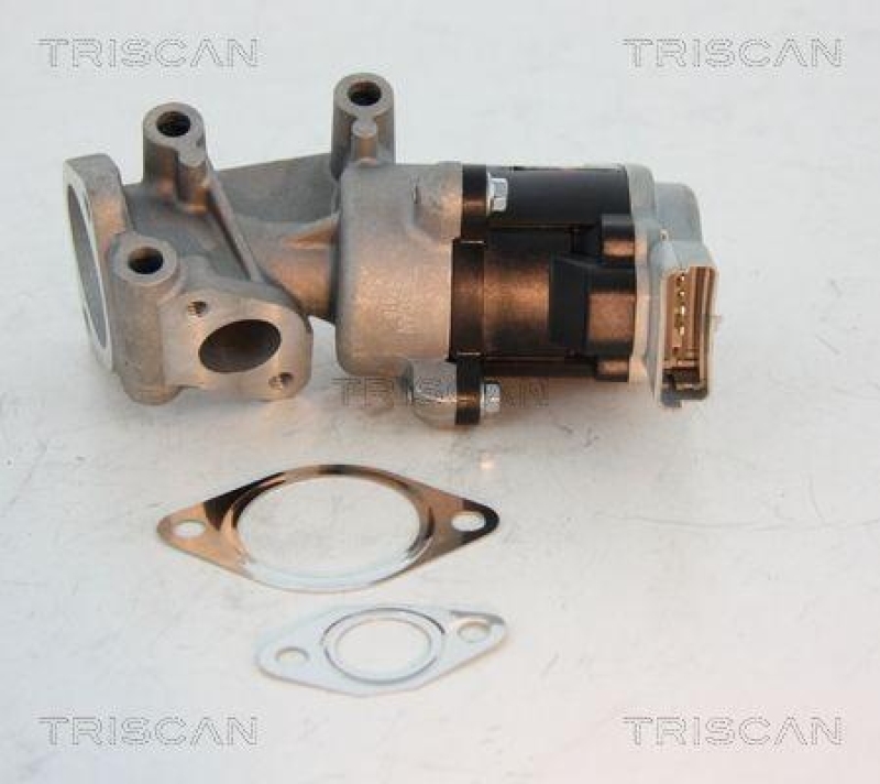 TRISCAN 8813 10008 Agr Ventil f&uuml;r Psa/Fiat/Gm