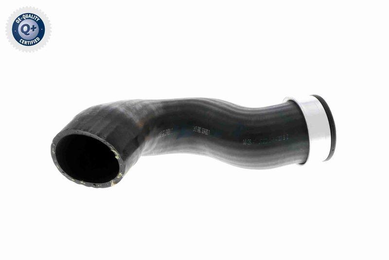 VAICO V10-2873 Ladeluftschlauch f&uuml;r VW